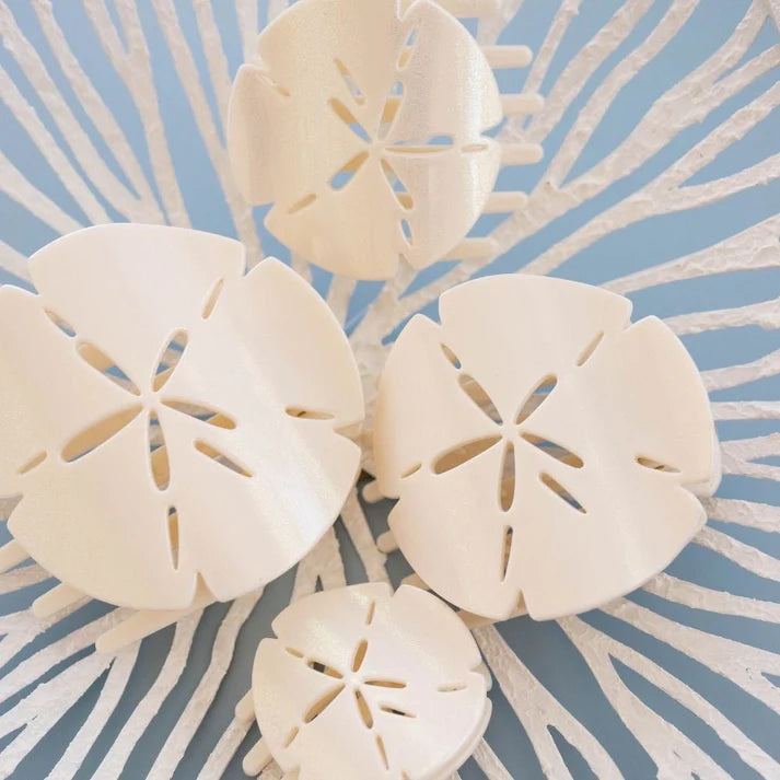 Sand Dollar Small Flat Hair Clip