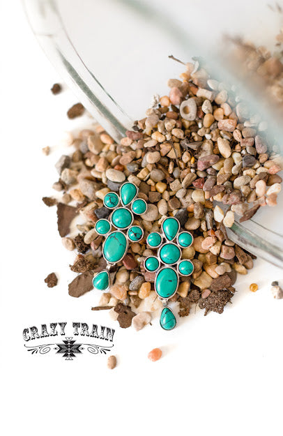 Crazy Train - Viva Glam Earrings