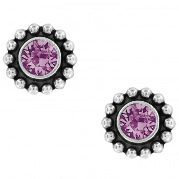 Twinkle Mini Post Earrings