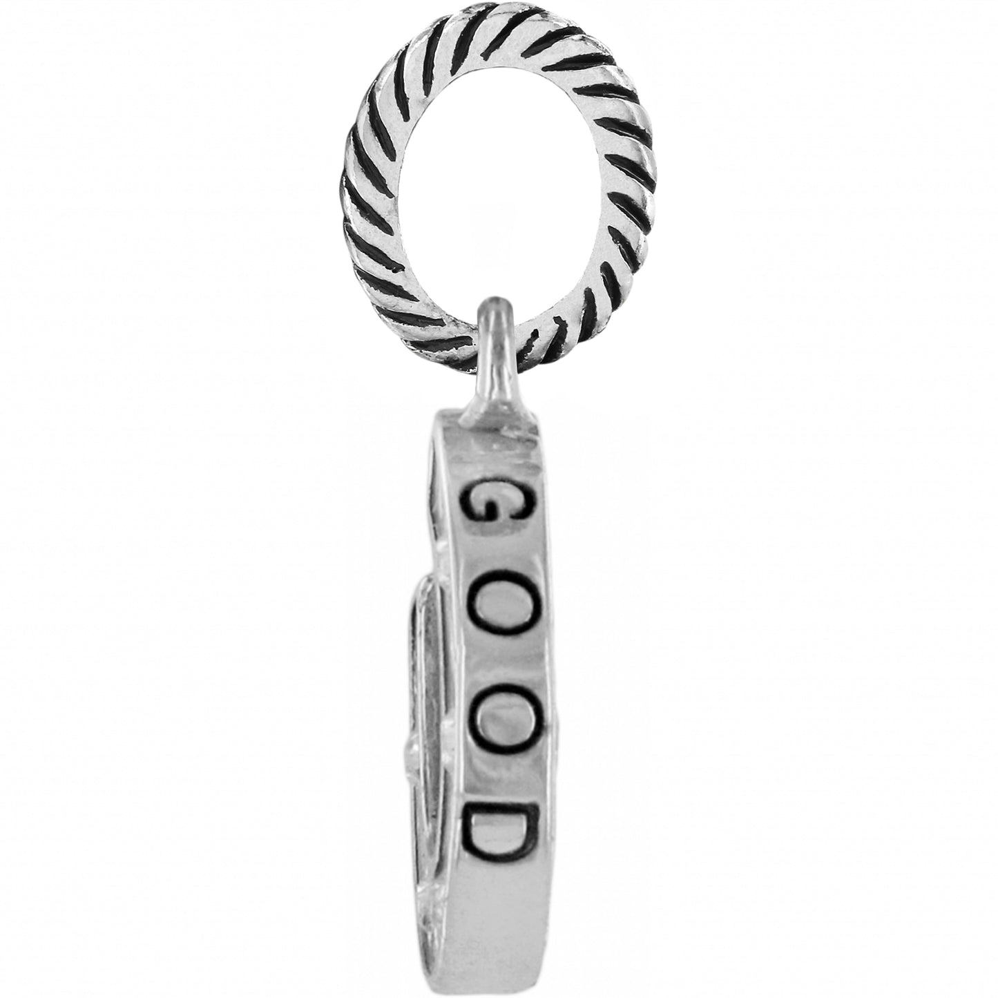 Lucky Horseshoe Charm