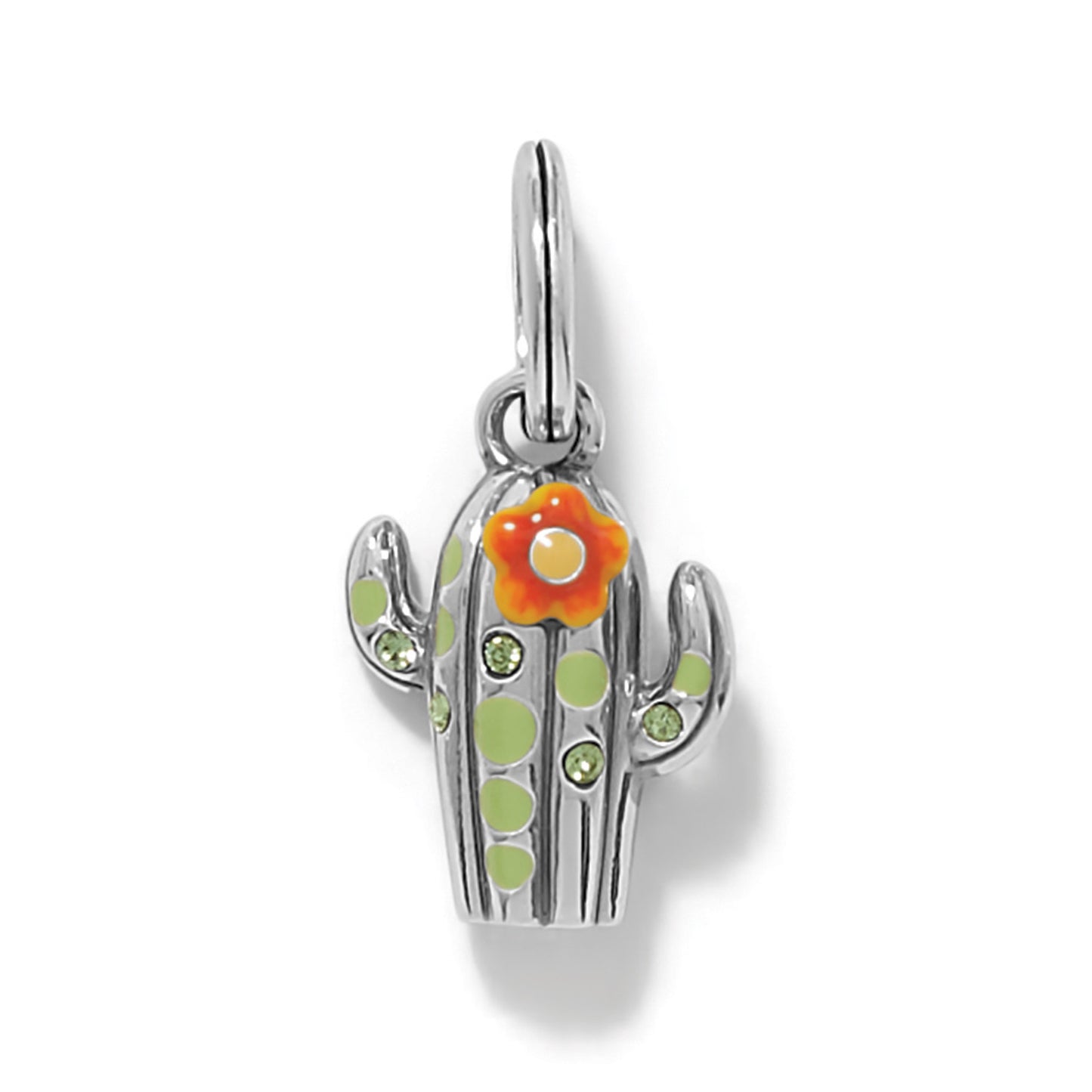 Desert Bloom Cactus Charm