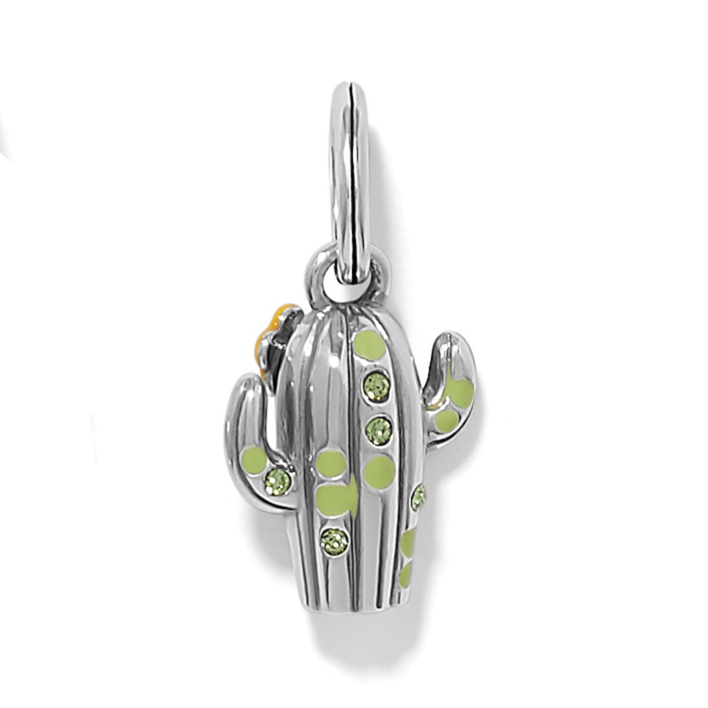 Desert Bloom Cactus Charm