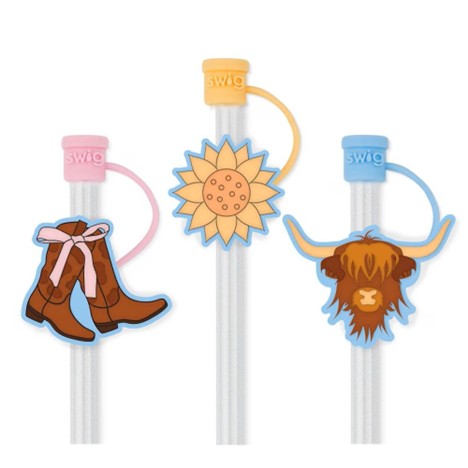 Cowgirl Coquette Straw Topper Set