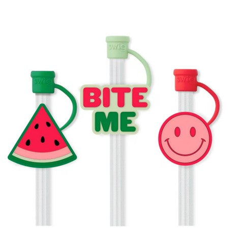 Melon Slice Straw Topper Set