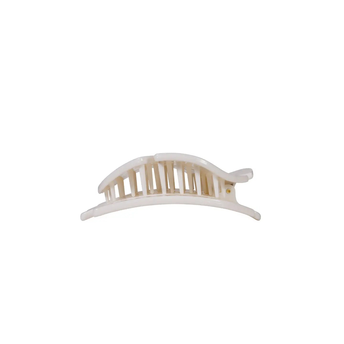 Sand Dollar Small Flat Hair Clip
