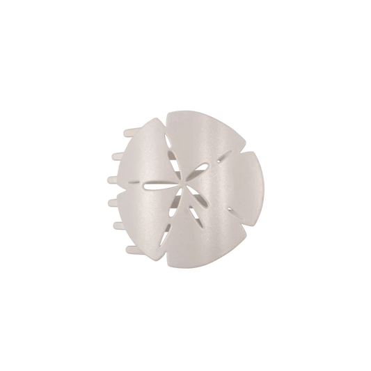 Sand Dollar Medium Flat Hair Clip